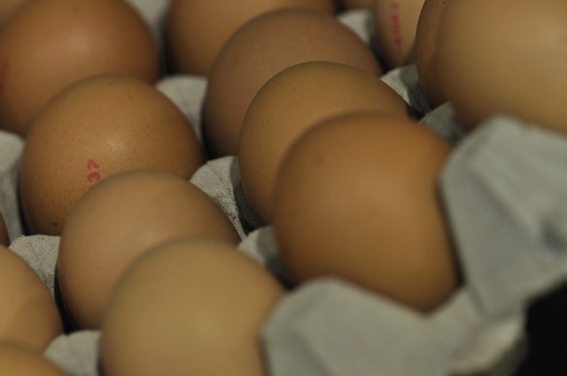 mj-0910-den-bosch-real-food-congres--eieren--product