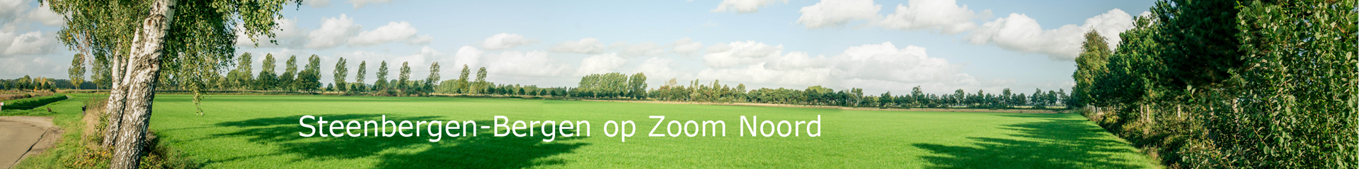 Afdelingsbanner website - Steenbergen-Bergen op Zoom Noord