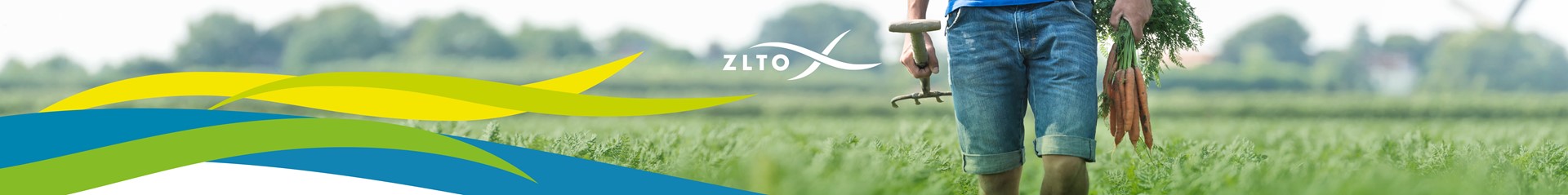 20190213 ZLTO congres basis web