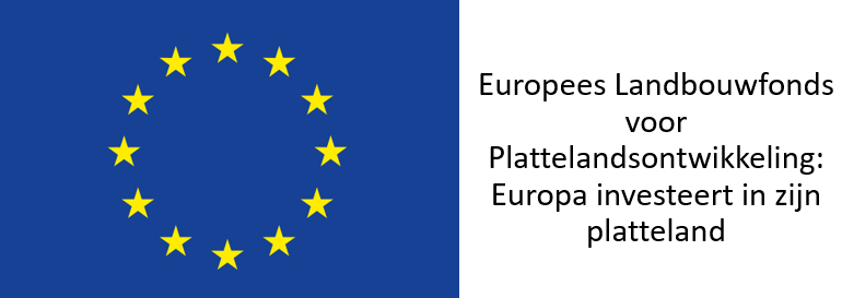 logo EU.png